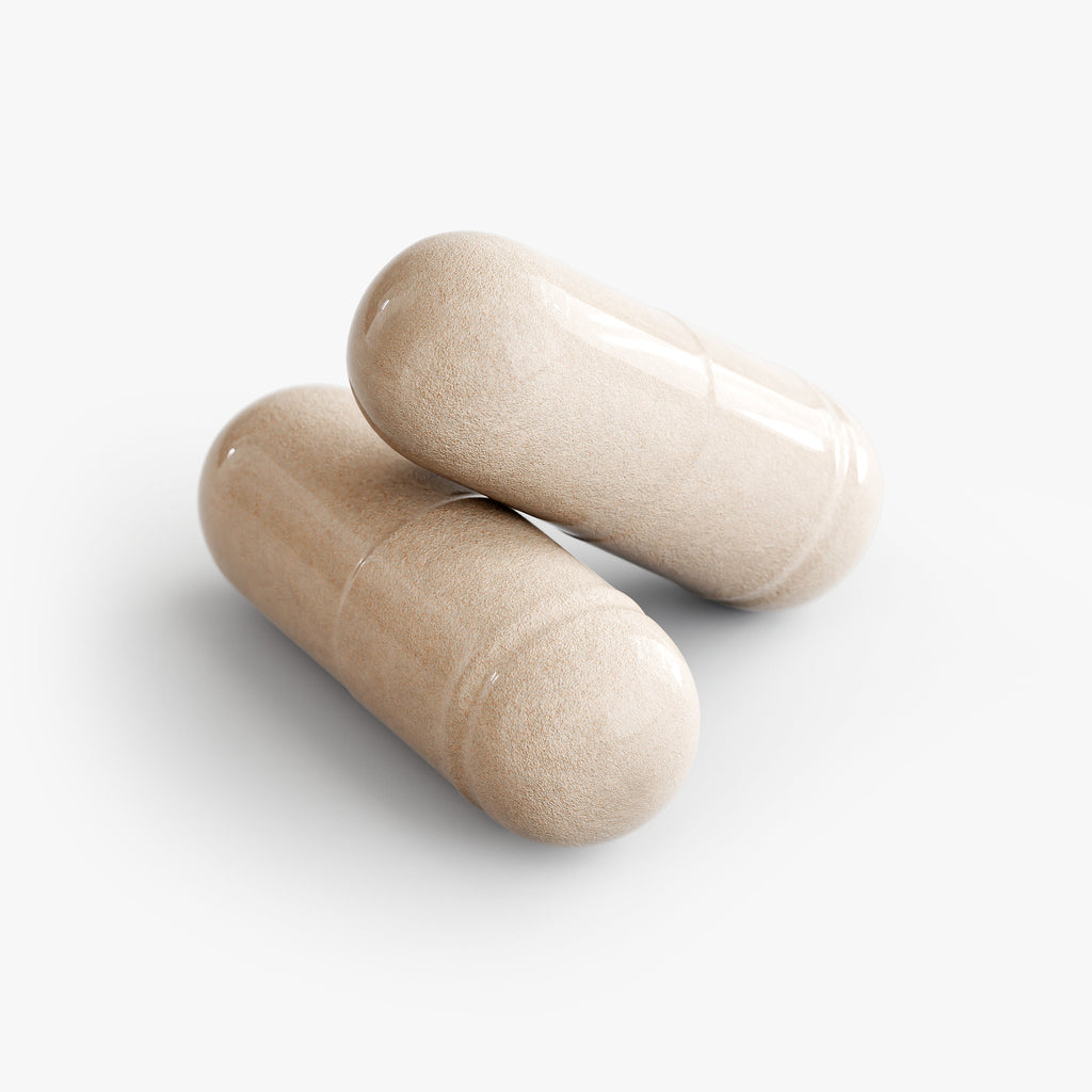 Ground Work Multivitamin — Foundational Daily Vitamins + Antioxidant & Immune Support